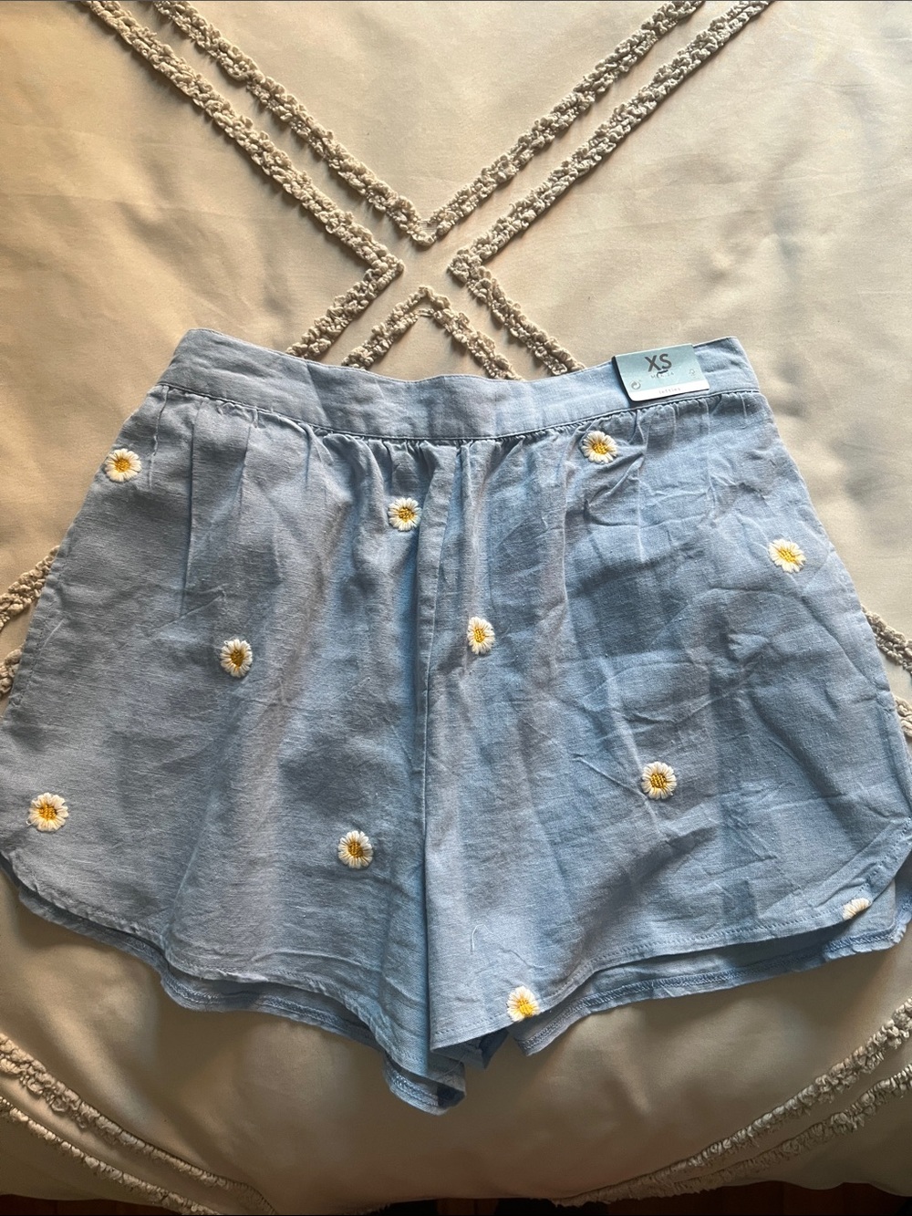 Light Blue Daisy Embroidered Women's Shorts - XS